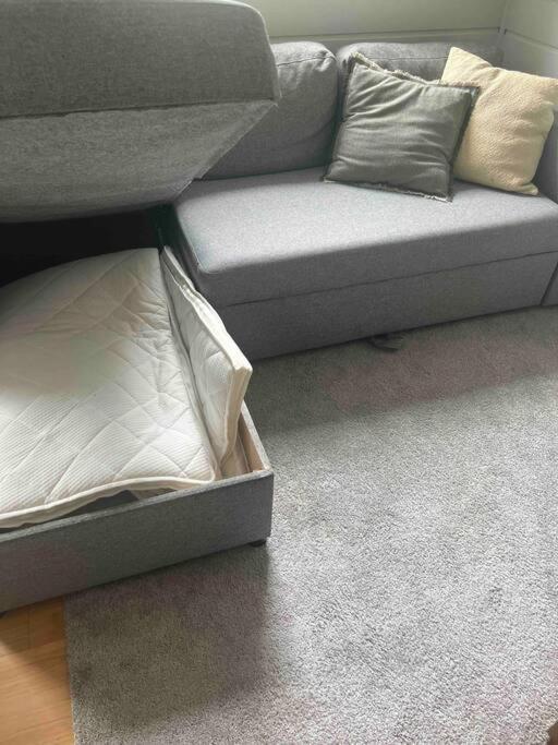ברגן Cosy Apartment With Free Parking מראה חיצוני תמונה